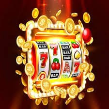 biwin bet